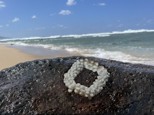 Shell Bracelet